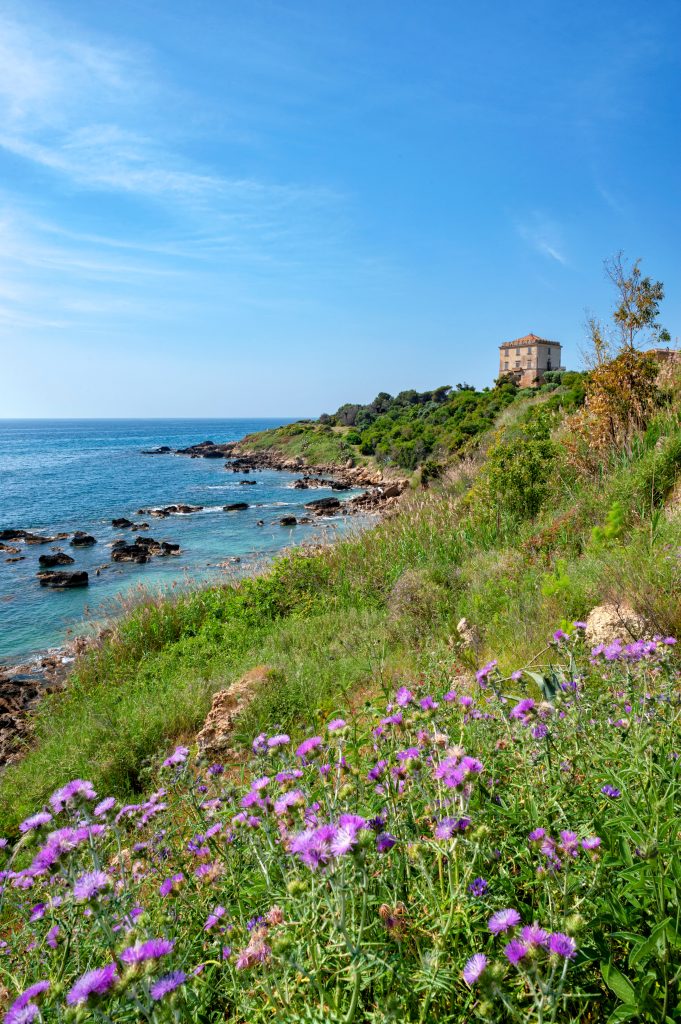 Spiaggia di Scifo