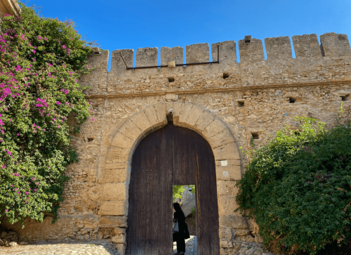 ingresso-castello-1