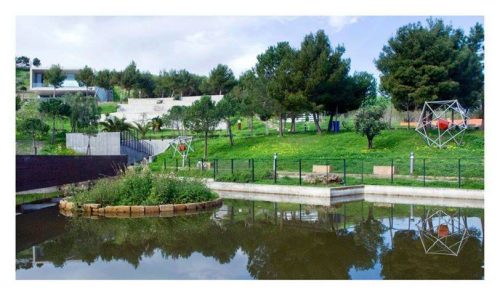 pitagora